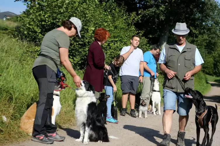 Gemeinsamer Sonntagsspaziergang samt Sozialisationsübung beim Verein „Bunte Hunde“ in Dittweiler. 