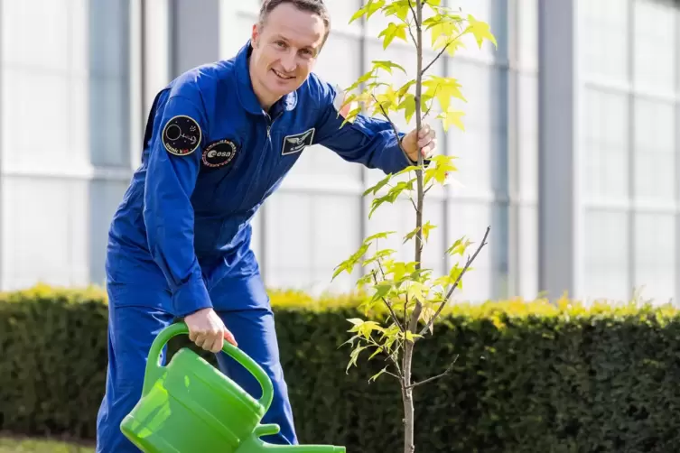 Matthias Maurer pflanzte einen Baum. 