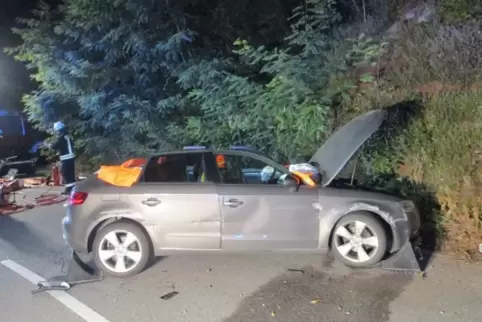 Der Fahrer des Autos musste von der Feuerwehr aus seinem Wagen geschnitten werden.