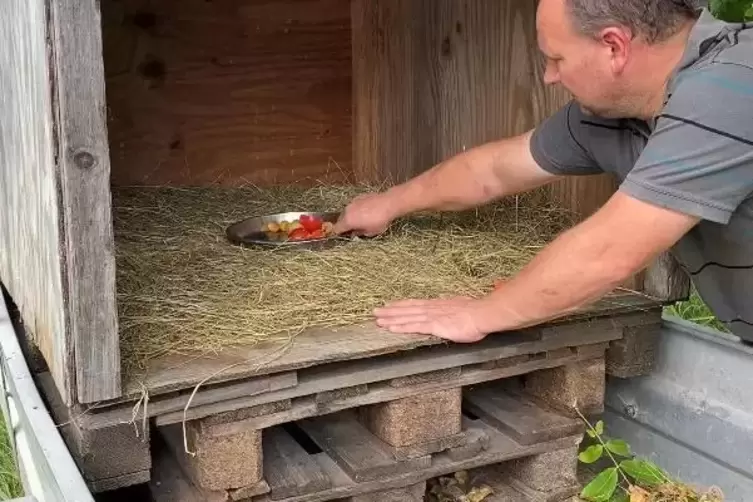 Andreas Spieß platziert Nahrung in der Lebendfalle.