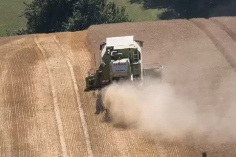 Feldarbeiten bei Kirrweiler.