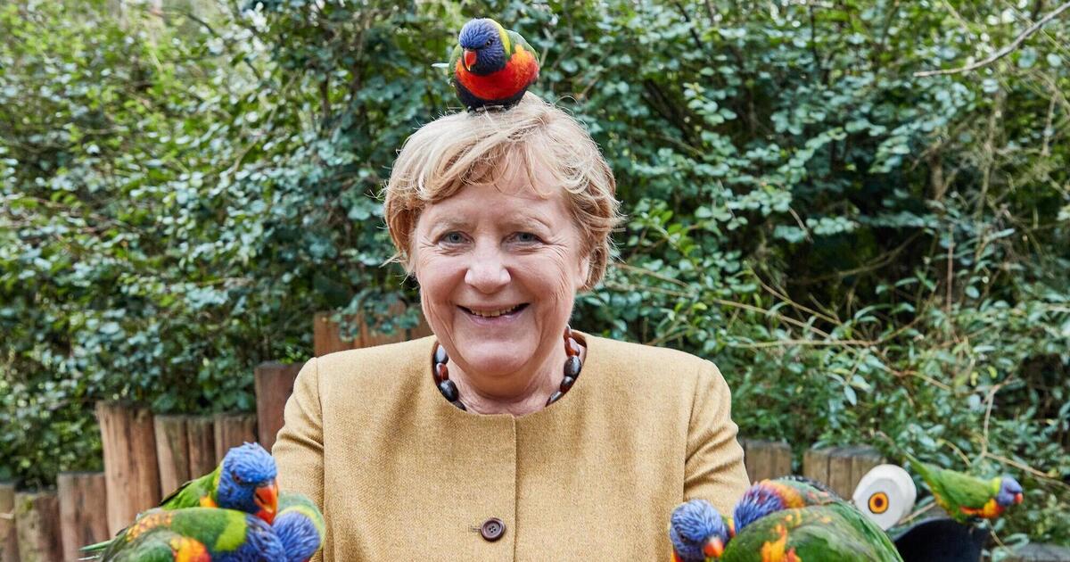 Blazer, Vögel und eine neue Leichtigkeit - 16 Jahre Kanzlerschaft Angela  Merkel - DIE RHEINPFALZ