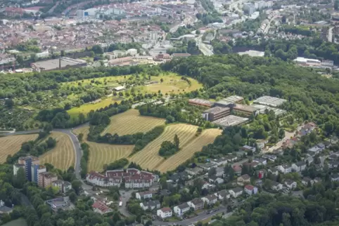 Die Haltestellen Schulzentrum Nord, Kaiserbergring, Cäsarpark und Sonnenberg entfallen in beiden Richtungen.