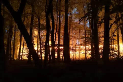 Die Feuerwehren in der Verbandsgemeinde sind ihren Aufgaben gewachsen, sagt der Beigeordnete Heino Schuck. Das habe zum Beispiel