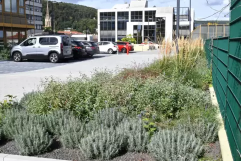 Mineralmulch ist kein Schotter, teilt die Kreisverwaltung mit, nachdem Kritik an den Flächen am Parkdeck aufgekommen ist. 