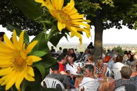 Dass die Weinfeste, wie hier in Herxheim am Berg 2019, in diesem Jahr ausgefallen sind, hatte keine großen Auswirkungen auf die 