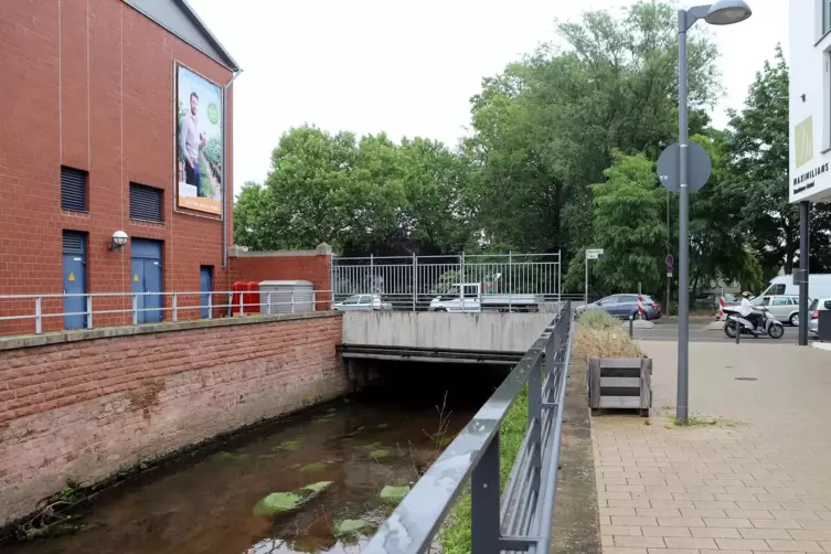 Die Brücke soll an der Queich, neben dem Hotel Maximilians, die Bahngleise überbrücken. 