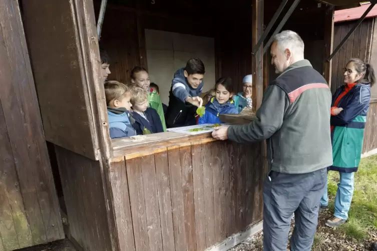 Schauen, lernen, staunen: Die Waldpädagogen Burkhard Gläßgen und Tina Sanio (rechter Bildrand) haben viel Wissenswertes für Kind