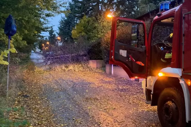 Umgestürzte Bäume sorgen auch in Kirchheimbolanden für Einsätze der Feuerwehr. 