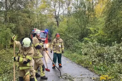 Viel zu tun gab es für die Feuerwehren: Das Sturmtief „Ignatz“ warf – wie hier bei Sulzbachtal – zahlreiche Bäume um. 