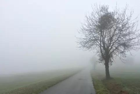 Morgens wird es in der Region häufiger dichte Nebelfelder geben. 