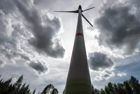 Ein Standort im Wald – laut Gaia der Hauptgrund dafür, dass Befragte das Mehlbacher Windkraftprojekt ablehnten.