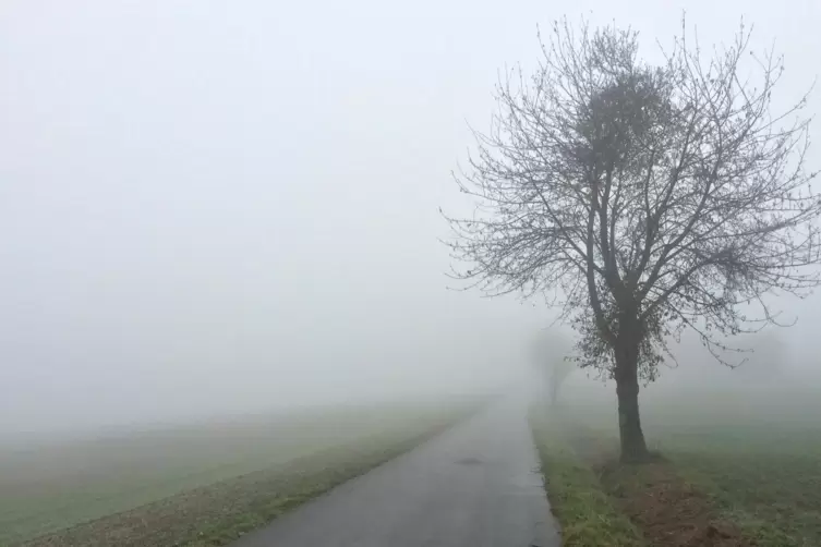 Zum Wochenstart ist vielerorts Nebel möglich.