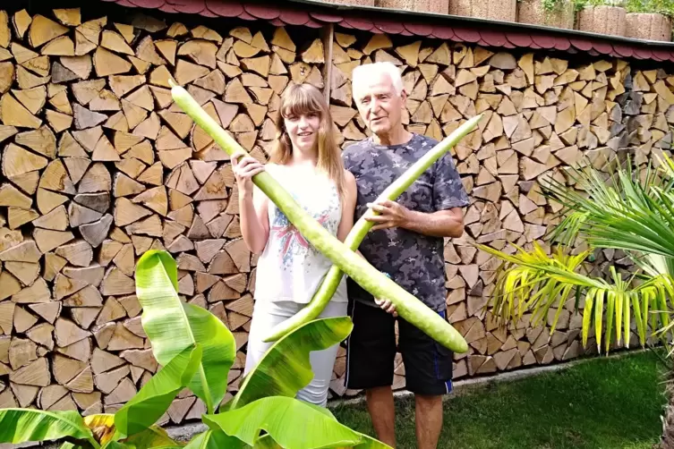 3. Platz in der Kategorie „Superlativ“: die 1,35 Meter langen Zucchini von Armin Bast, hier mit seiner Enkelin Melanie. 