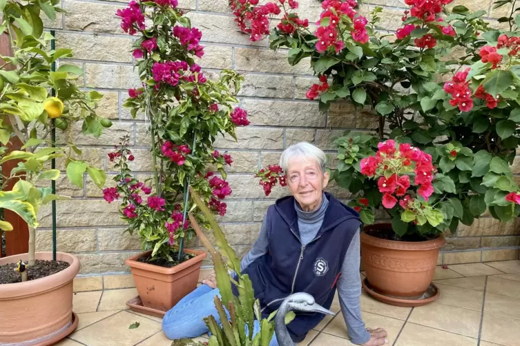 3. Platz in der Kategorie „Exotisch“: die 35 Jahre alten Bougainvillea von Helga Schmid aus Speyer. 