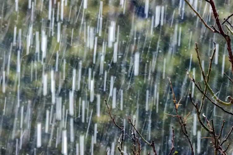 2021: Regen dominiert das Gartenjahr.