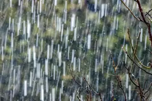 2021: Regen dominiert das Gartenjahr.