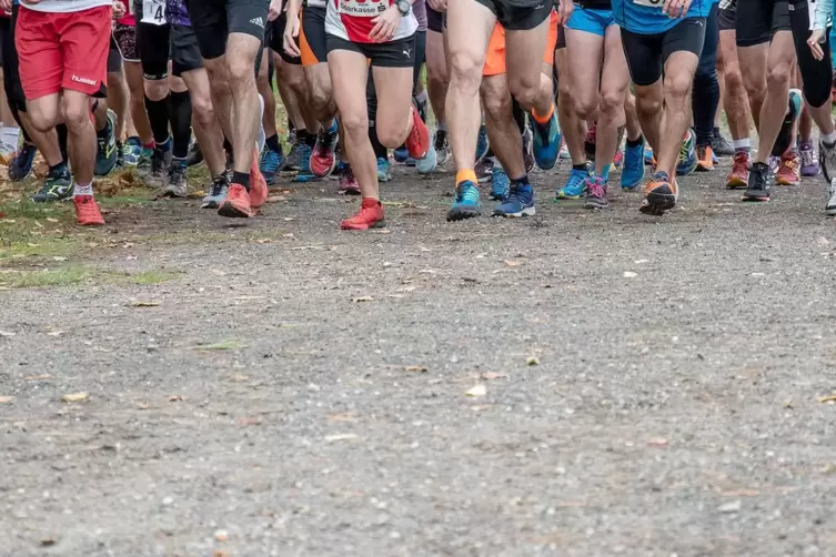 Beim Crosslauf ist Kondition erforderlich.