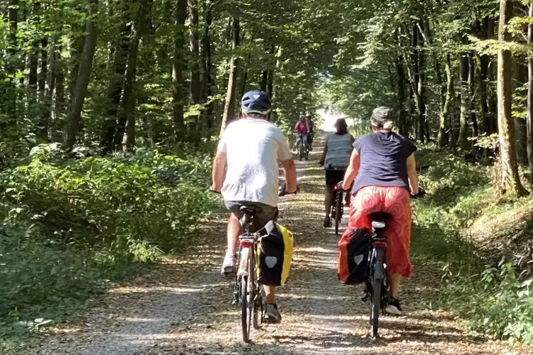 Grenzenloser Radelspaß: Im nächsten Sommer gibt es neue Verbindungen zwischen dem Dahner Felsenland und dem Elsass. 