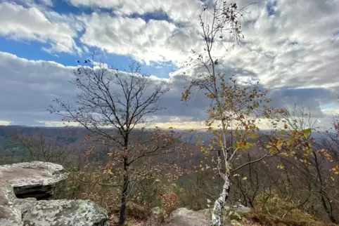 Waldeinsamkeit, soweit das Auge reicht: Ausblick vom südlichen Drachenfels-Plateau.