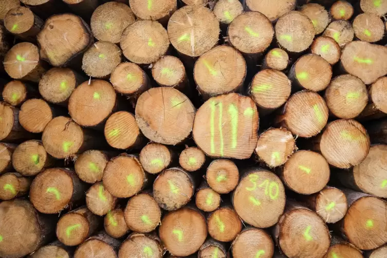 Der Baustoff Holz soll beim neuen Kindergarten eine zentrale Rolle spielen. 