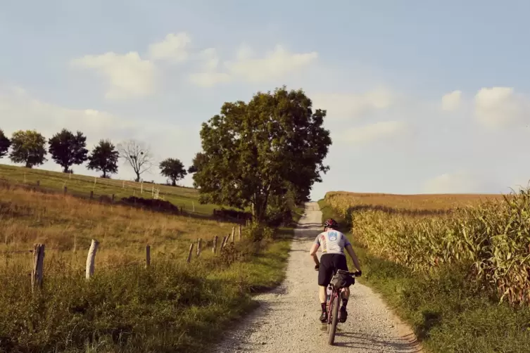 Wirtschaftswege sind auch bei Radfahrern beliebt. Gelegentlich kommt es dabei zu Konflikten. 