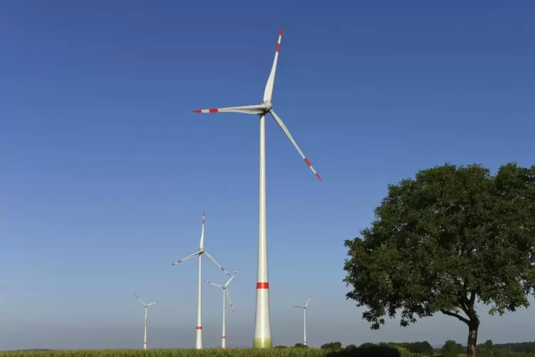 Von den Speyerer Stadtwerken und einem Kooperationspartner initiiert: Windpark Hatzenbühl.