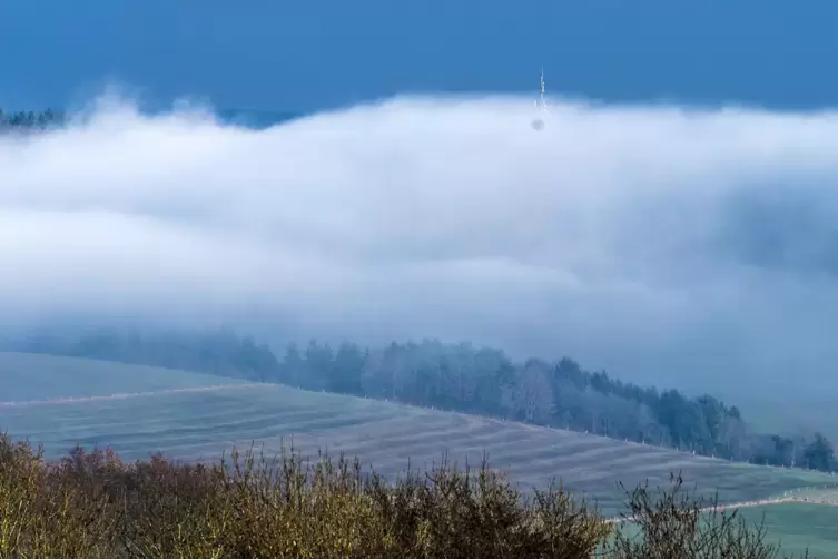 Auch in den kommenden Tagen wird sich der Nebel teils hartnäckig halten. 