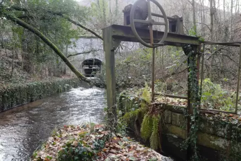 Der Rundwanderweg soll auch am Speyerbach entlangführen. 