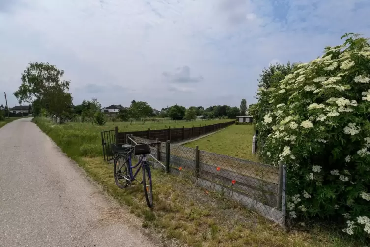 Zunächst sah es so aus, als müssten die Bauten in der Kleingartenanlage im Bobenheimer Weg abgerissen werden. 