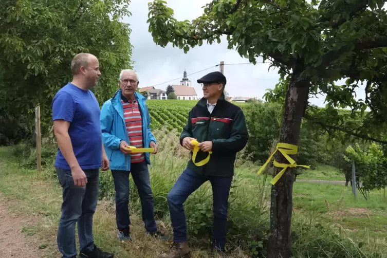 Baummarkierung in Weyher mit Ortsbürgermeister Andreas Möwes, Beigeordnetem Robert Klein und Michael Leschnig vom Haus der Nachh