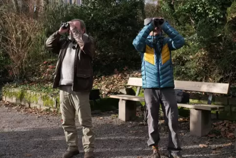 Mit Fernglas: Jürgen Walter (links) und Christoph Kohler zählen Vögel im Domgarten.