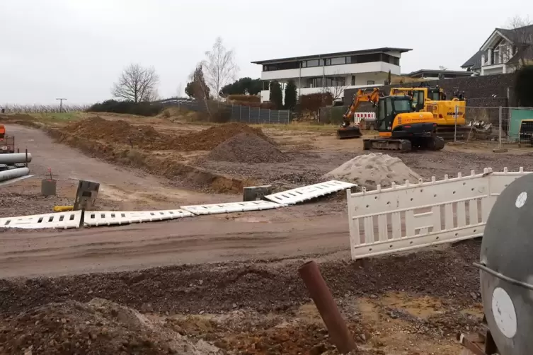 Die ersten Neubürger in Oberotterbach möchten Weihnachten in ihrem neuen Haus feiern.