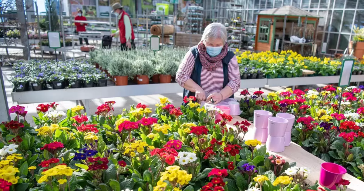 Streit Um Blumentopf Eskaliert Polizeieinsatz Die Rheinpfalz 