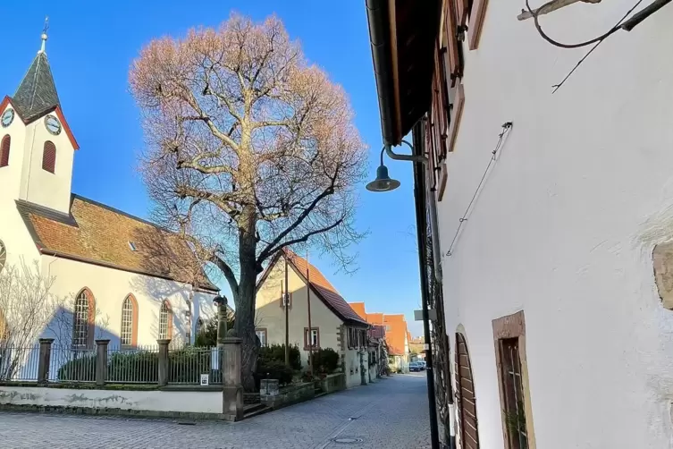 Große Projekte stehen in diesem Jahr in Bobenheim am Berg an. 