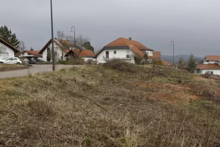 Im Baugebiet Dorsberg wird es keine wuchtigen Mehrfamilienhäuser geben. 