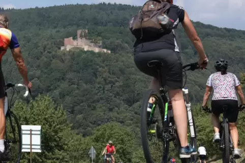 So sah es 2019 zum Erlebnistag bei Klingenmünster aus.