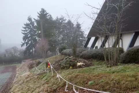 Derzeit versucht man der Lage mit Flatterleinen Herr zu werden.