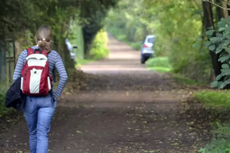 Der Rosenweg nach Niederauerbach ist ein beliebter, naturnaher Spazierweg.