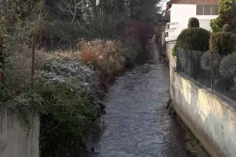 Links des Spiegelbachs soll einmal ein Fußweg von der Zeiskamer- zur Obermühlstraße führen. 