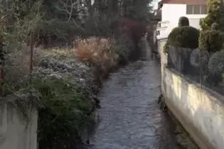 Links des Spiegelbachs soll einmal ein Fußweg von der Zeiskamer- zur Obermühlstraße führen.