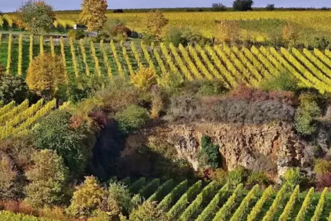 Der geotouristische Wanderweg soll zwischen Kallstadt und Herxheim am Berg verlaufen.