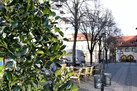 Auf dem Römerplatz könnte es nach Plänen der Stadt künftig grüner zugehen: Dann sollen Pflanzen dazu beitragen, dass Besucher be