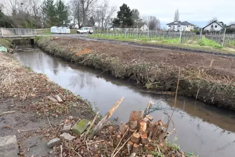 Das Flussbett der Isenach soll aufgeweitet werden. Dazu muss die Stadt Bad Dürkheim Gelände kaufen. 