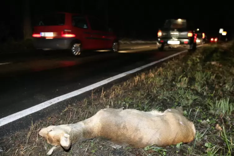 Die Jagdsteuer fällt weg, dafür entsorgen die Jäger das im Verkehr verendete Fallwild. So wird es vielerorts gehandhabt. In Stad