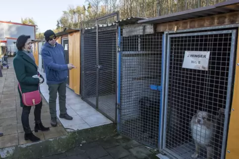 Angelika Glöckner zu Besuch beim Tierschutzverein in Kindsbach: Ralf Heiek zeigt der Bundestagsabgeordneten die Zwinger. 