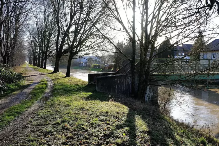 Die Brücke führe zur „grünen Lunge Bubenhausens“, sagt Gerhard Maurer.