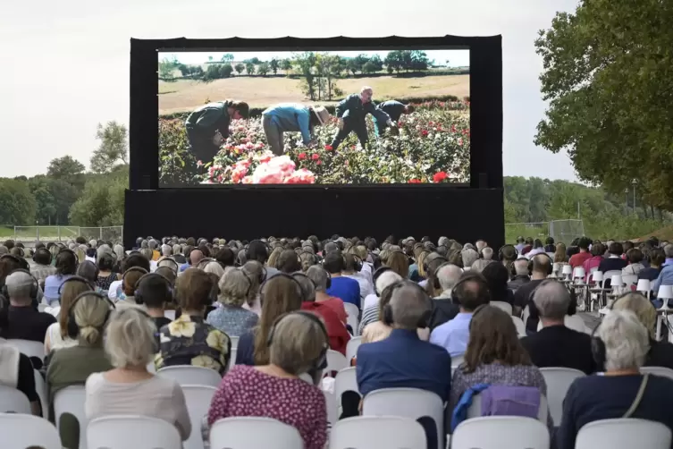 Open-Air-Vorstellung am Rheinufer auf der Parkinsel.