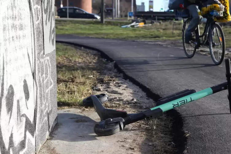 Bis zu 900 E-Scooter gibt es geschätzt in Ludwigshafen. Immer wieder liegen sie, wie hier, an oder auf Wegen herum. 