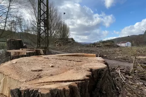 Am Sportplatz in St. Julian mussten mehrere Pappeln gefällt werden.